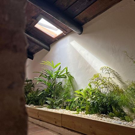 Casa Do Avo Zezinho Villa Telheiro Eksteriør bilde
